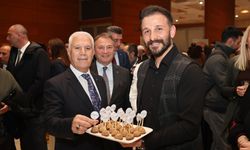 Kestane Büyükşehir'le filizleniyor