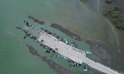 Karacabey'de çeltik ekimi yasaklandı