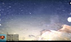 Marmara denizinin dibinde 50 yıllık sır ortaya çıkıyor