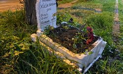 Bursa'da taksiciler ölen muhabbet kuşları için mini mezar yaptılar