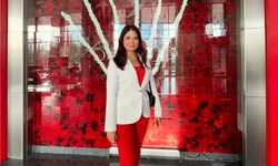 Bursa'da meclis üyesini sıkıştırıp, aracı yumrukladı