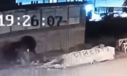 Bursa'da başıboş köpek dehşeti! 3 kişi yaralandı