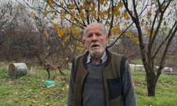 İnegöllü arıcıya büyük şok