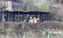 Barakadaki sobayı tutuşturmaya çalışırken yangın çıktı: Yaşlı adam hayatını kaybetti