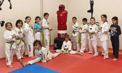 Bilecik’te geleceğin sporcuları taekwondo minderinde yetişiyor