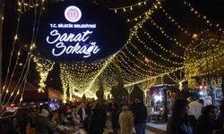 Bilecik’te Sanat Sokağına yoğun ilgi