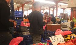 Çanakkale’nin meşhur domatesi tezgahlarda 40 liradan 10 liraya kadar düştü