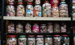 Görenleri ürküten sıra dışa koleksiyon