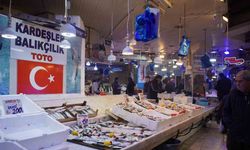 Hamsi zirvedeki yerini istavrite bıraktı