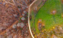 Herkesin "sanayi şehri" olarak bildiği Kocaeli’nin öteki yüzü