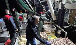 İğneada Balıkçı Barınağı’nda su ürünleri denetimi