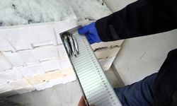 Kırklareli’nde su ürünleri denetimi