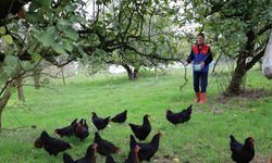 Kocaeli’de kırsal kalkınmaya "kanatlı" destek