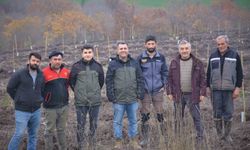 Manyas'ta orman köylüsüne gelir getirici ağaçlandırma