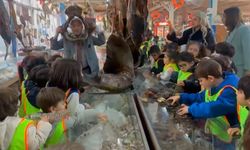 Minikler mumya balıkları büyük bir ilgiyle inceledi