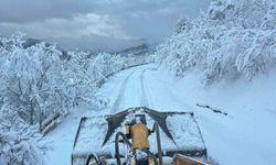 Sakarya'da kardan kapanan 35 grup yolunun 31'i ulaşıma açıldı
