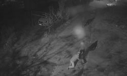 Altın çantasıyla evine girmek isteyen yaşlı adam gasbedildi