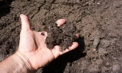 Köyde Bir Dönüm Bile Toprağı Olanlar Dikkat: 31 Aralık Son Tarih!