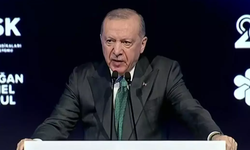 Cumhurbaşkanı Erdoğan'dan asgari ücret açıklaması: TİSK, elini taşın altına koymalı