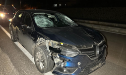 Otomobilin çarptığı 3 kişi hayatını kaybetti!