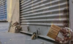 Bursa'da bir günde 8 şirket iflas etti!