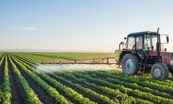 Bursalı gençlere özel projeler! Bozbey: “Gençlerimiz sürdürülebilir tarım yapacaklar”