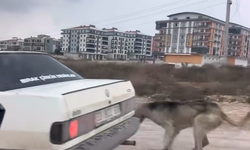 İnegöl’de Tepki Çeken Görüntü