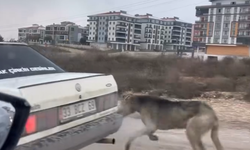 İNEGÖL BELEDİYESİ HAREKETE GEÇTİ! BU GÖRÜNTÜ TEPKİ ÇEKMİŞTİ