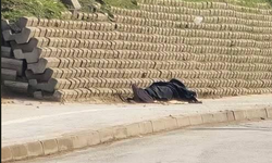 İnegöl'de görenler yardımına koştu! Hareketsiz halde yatıyordu