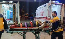 İnegöl'de kamyonet ayaklarının üzerinden geçti