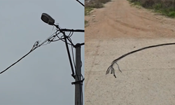 İnegöl'de elektrik hatları alev aldı