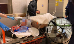 İnegöllü genç yaşam mücadelesini kaybetti