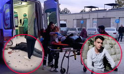 İnegöl'de Karalar yolundaki ölümlü kazada flaş gelişme