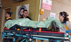 İnegöl'de evin bahçesine daldı! Donmak üzereyken bulundu