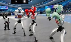 İnsansı robotlarda büyük yanılgı