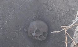 İnegöl'deki o alanda yapılan kazılarda insan kemikleri çıktı