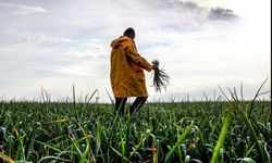 Çiftçi zarar ediyor, en fazla kazanan yüzde 10 kazanıyor