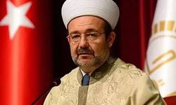 Eski Diyanet İşleri Başkanı Mehmet Görmez'e yeni görev
