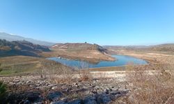 İnegöllü çiftçileri tedirgin eden görüntü