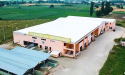 İnegöl’de gündem olmuştu... Usulsüzlük ve rant iddialarına İnegöl Entegre Et Şirketi’nden cevap