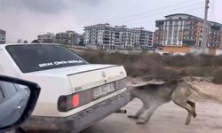 İnegöl Kaymakamı talimat verdi