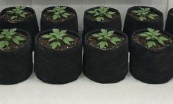 İnegöl'de uyuşturucu üretirken yakalandı!