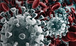 Uzmanından kadın kanserlerinde erken tanı uyarısı