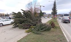 İnegöl'de faciadan dönüldü