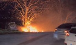 Bursa'da kontrolden çıkan otomobil önce ağaca çarptı sonra alev aldı