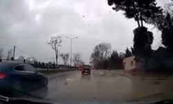 Bursa'da fırtınanın ağacı devirme anı kamerada