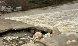Bursa'da mesire alanındaki hasarlı köprü tehlike saçıyor