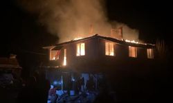 Bursa'da köy evi alevlere teslim oldu