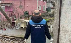 Beykoz'da ele geçirilen 204 kasa balık ihtiyaç sahiplerine dağıtıldı