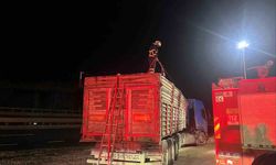 Bilecik'te seyir halinde talaş yüklü tır dorsesi alev aldı